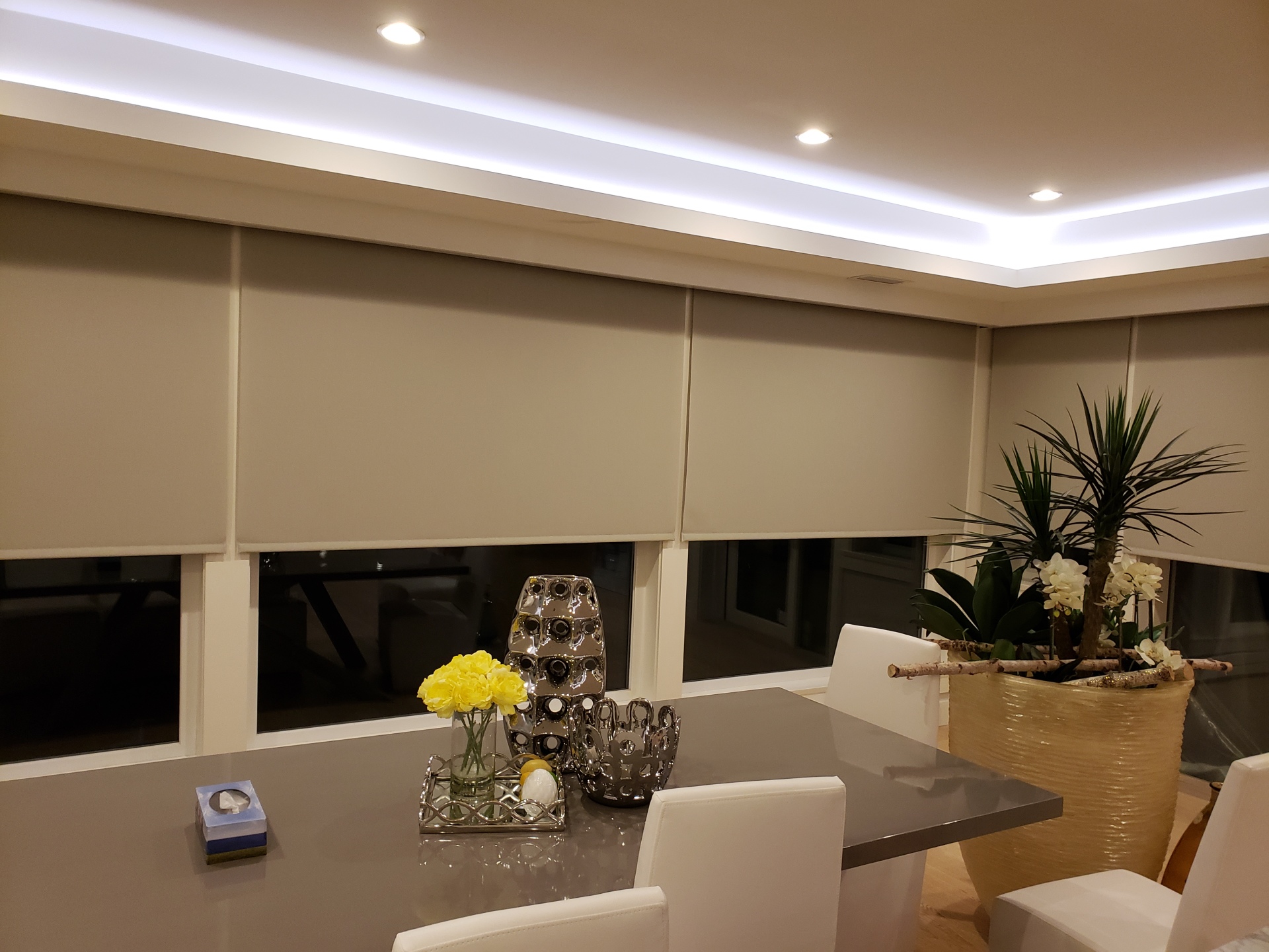 British Properties West Vancouver Lutron Motorized Shades